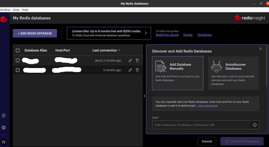 add RedisInsight database connection